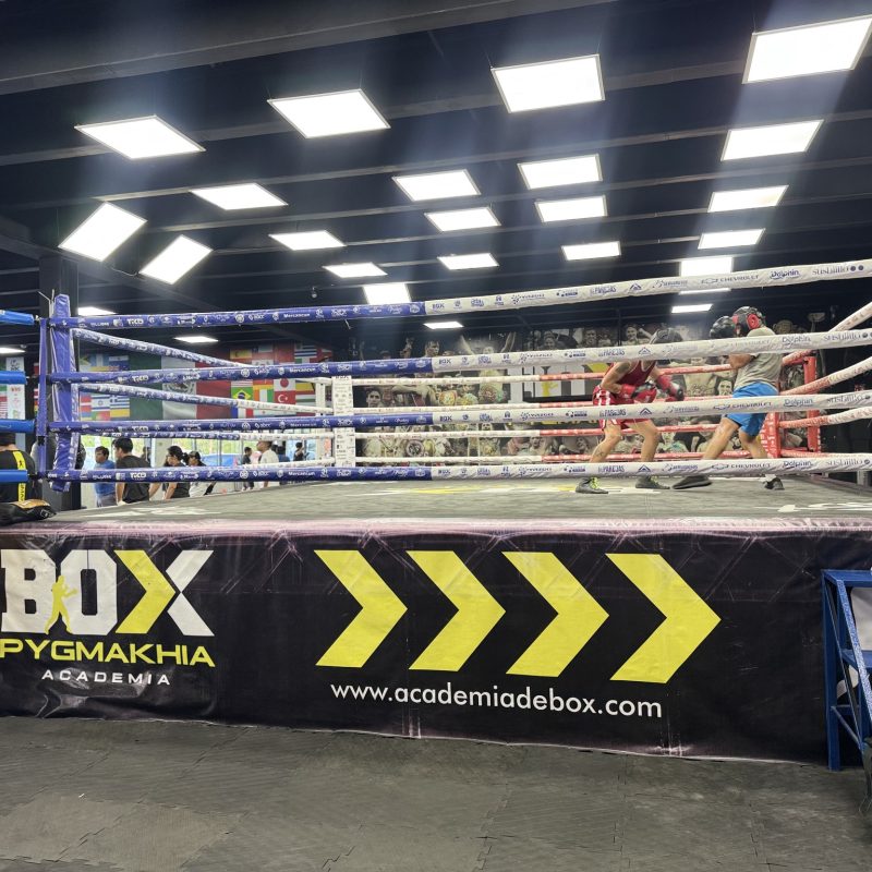 Box cancun 2025 16